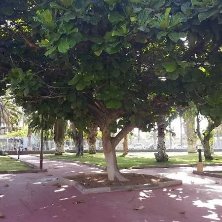 شقة South Tenerife, Poolview طوستا ديل سيلونثيو